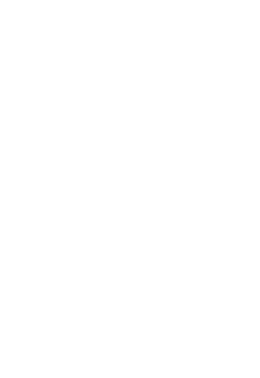 Truslan Group
